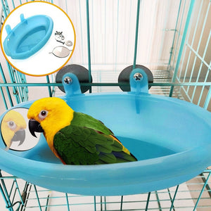 Parakeet Bird Bath With Mirror