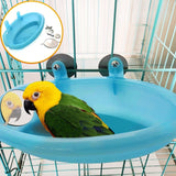 Parakeet Bird Bath With Mirror